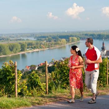 Eleganter Riesling vom Roten Hang - Der Rheinterrassenweg führt bei Nierstein über eine berühmte Weinlage - (c) Rheinland-Pfalz Tourismus GmbH