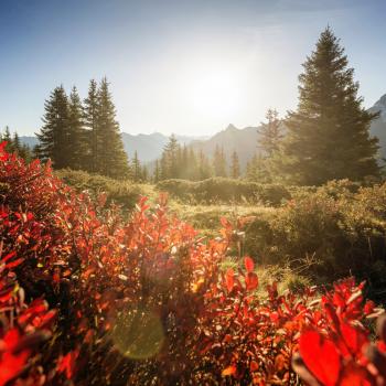 Auf besonderen Wegen durch das Montafon Neues Wanderwegekonzept „Alpenmosaik Montafon“ - (c) Andreas Haller/Vorarlberg Tourismus