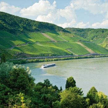 König Riesling am Bopparder Hamm Mittelrheinischer Weinfrühling an der größten Schleife des Rheins - Rheinland-Pfalz Tourismus GmbH