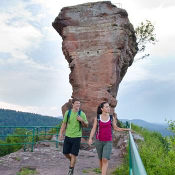 Prägnante Weine bei „warmweichen Riesen“ Roter und Gelber Buntsandstein im Pfälzer Weinland - (c) Rheinland-Pfalz Tourismus GmbH