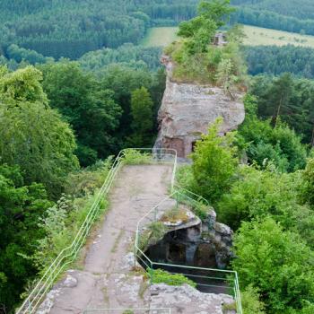 Prägnante Weine bei „warmweichen Riesen“ Roter und Gelber Buntsandstein im Pfälzer Weinland - (c) Rheinland-Pfalz Tourismus GmbH