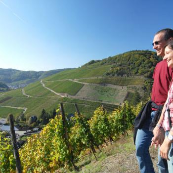 Rotweinwanderweg durch Schieferlagen - 50 Jahre Genusswandern auf der Sonnenseite des Ahrtals - (c) Rheinland-Pfalz Tourismus GmbH