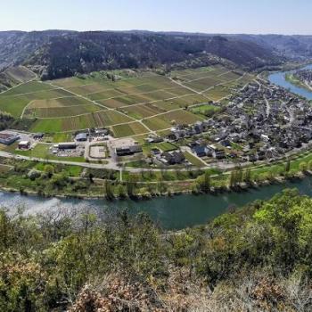 Winzerprojekt für den Moselwein - Wandern auf dem Breva Wein & Weg durch den Valwiger Herrenberg - (c) Rheinland-Pfalz Tourismus GmbH