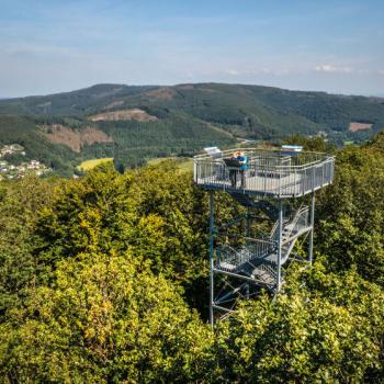 Wanderung durch den Westerwald und zum Basaltkegel aus erstarrter Lava - (c) Dominik Ketz - Westerwald Touristik Service