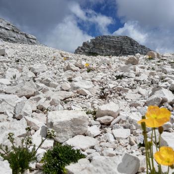 Schiefer soweit das Auge reicht - (c) Christine Kroll