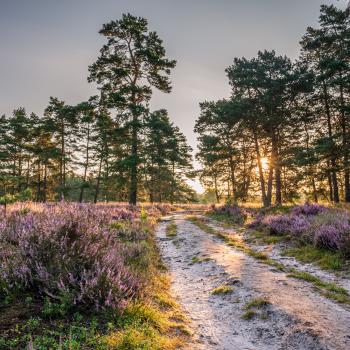 Die schönsten Schattenwanderungen für den heißen Sommer - (c) MarTiem