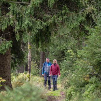 Die schönsten Schattenwanderungen für den heißen Sommer - (c) TVE/Dennis Stratmann