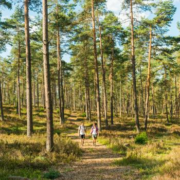 Die schönsten Schattenwanderungen für den heißen Sommer - (c) D. Ketz