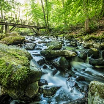 Die schönsten Schattenwanderungen für den heißen Sommer - (c) Top Trails of Germany