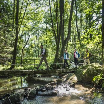 Die schönsten Schattenwanderungen für den heißen Sommer - der Lerautal mit Schafsteg bei Leuchtenberg - (c) Top-Trails of Germany