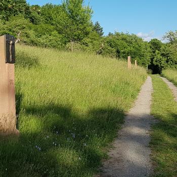 … Geschichten auf dem neuen „BUNTSANDSTEIN-ERLEBNISWEG“ in Churfranken - (c) Churfranken e.V. / Peter Mayer 