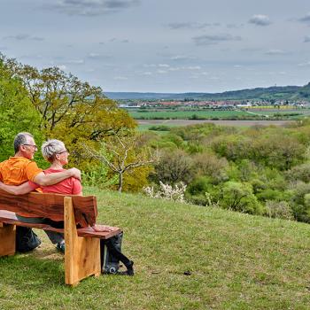 Aussicht auf den Petersberg - (c) Romantisches Franken/F. Trykowski