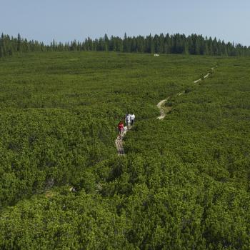 KOROŠKA Takes you by surprise.   Der Geheimtipp für Outdoor-Abenteuer in Slowenien - (c) www.koroska.si 