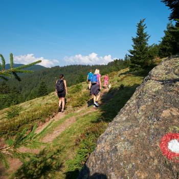 KOROŠKA Takes you by surprise.   Der Geheimtipp für Outdoor-Abenteuer in Slowenien - (c) www.koroska.si 