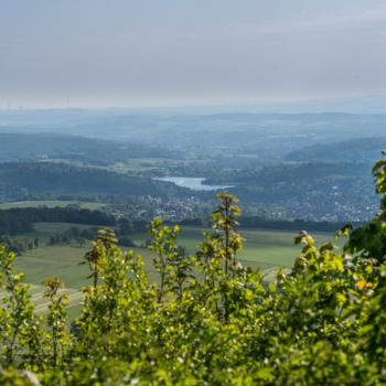 Ein Panoramaweg durch herrliche Bergmähwiesen - (c) Christina Marx, www.vogelsberg-fotos.de