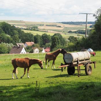 Die Wiesentour - rund um Lauterbach-Maar führt die leicht Tour über weiche Wiesenwege und sanfte Hügelkuppen - (c) Jörg Bornmann