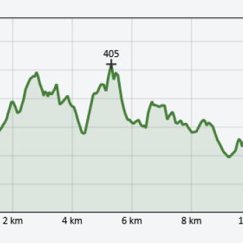 Die Wiesentour - rund um Lauterbach-Maar führt die leicht Tour über weiche Wiesenwege und sanfte Hügelkuppen - (c) Vulkanregion Vogelsberg Toursimus