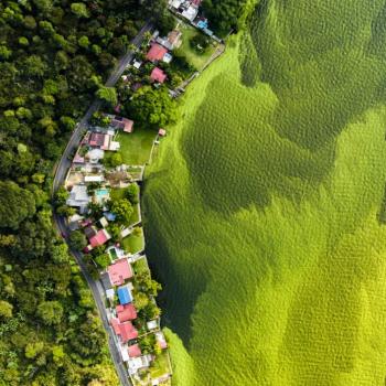 Der sterbende See - (c) Daniel Núñez (Guatemala)