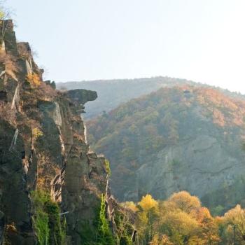 Beste Aussichten bei der „Bunten Kuh“ - Auf dem Rotweinwanderweg zur Felsnase im Ahrtal - (c) Rheinland-Pfalz Tourismus GmbH