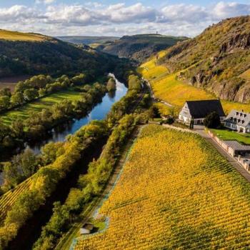 Herbstlich unterwegs an der Nahe auf dem Weinwanderweg Rhein-Nahe – (c) Naheland-Touristik GmbH.jpg