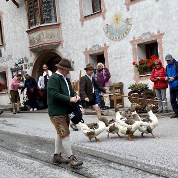 Der Sommer ist vorbei, die Kühe, Ziegen und Schafe wurden von den Almen nach Neustift im Stubaital geführt - (c) Gabi Dräger