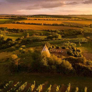 Wo die Hügel in allen Farben leuchten - Herrliche Picknickplätze auf der Hiwweltour Aulheimer Tal in Rheinhessen - (c) Rheinhessen-Touristik