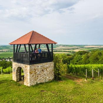 Wo die Hügel in allen Farben leuchten - Herrliche Picknickplätze auf der Hiwweltour Aulheimer Tal in Rheinhessen - (c) Rheinhessen-Touristik