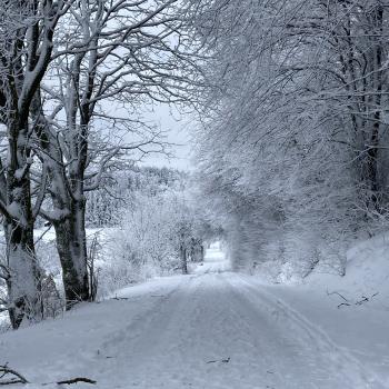 Winterliche Wanderfreuden in der Vulkanregion Vogelsberg - (c) Ilka Schacht