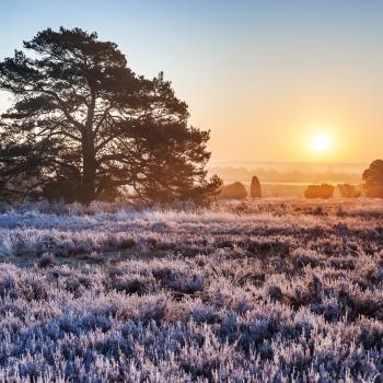 Zwischen Dezember und März bieten sich zahlreiche Touren durch die glitzernde Kälte an – ob als Eintages- oder Mehrtagestour - (c) Top Trails of Germany