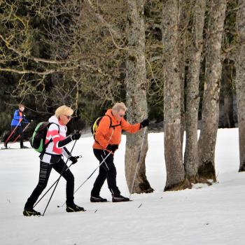 Genussvoller Winterspaß in der Region Schladming-Dachstein, das sind Winteraktivitäten aller Art und jeden Tag eine andere Almkulinarik-Hütte besuchen - (c) TVB Schladming-Dachstein