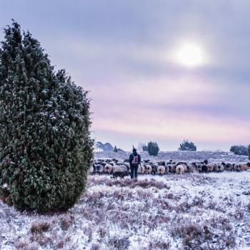 Zwischen Dezember und März bieten sich zahlreiche Touren durch die glitzernde Kälte an – ob als Eintages- oder Mehrtagestour - (c) Top Trails of Germany