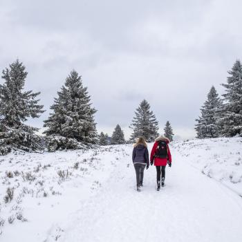 Winterwandern auf dem Rothaarsteig in der Niedersfelder Hochheide - (c) Rothaarsteigverein e.V./Klaus-Peter Kappest