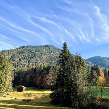 Durch den dichten Wald geht es in Richtung Schönberg - (c) Christine Kroll