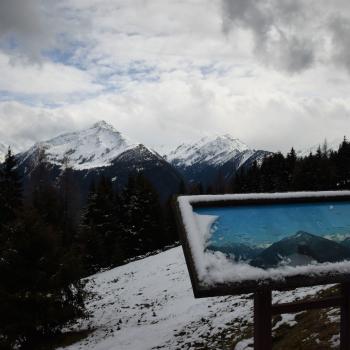 Naturdorf Oberkühnreit - Natur pur erleben am Wildkogel im Nationalpark Hohe Tauern - (c) Gabi Vögele