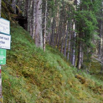 Naturdorf Oberkühnreit - Natur pur erleben am Wildkogel im Nationalpark Hohe Tauern - (c) Gabi Vögele