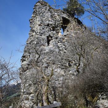 Naturdorf Oberkühnreit - Natur pur erleben am Wildkogel im Nationalpark Hohe Tauern - (c) Gabi Vögele