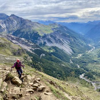 Steil aber gut gehbar windet sich der Steig hinauf - (c) Christine Kroll