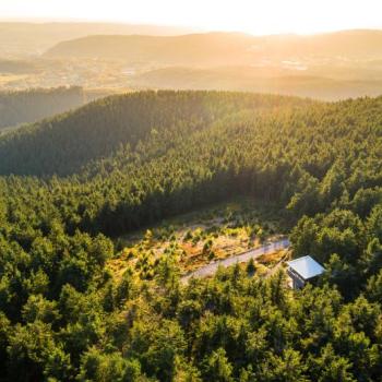 Rennsteig in Thüringen - (c) Thüringen Tourismus