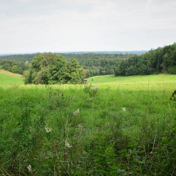 Höhenrundweg - Highlights rund um den Hoherodskopf - <a href="https://www.wanderfreak.de/hoehenrundweg-vogelsberg" target="_blank">zur Beschreibung der Wandertour</a> - (c) Gabi Vögele