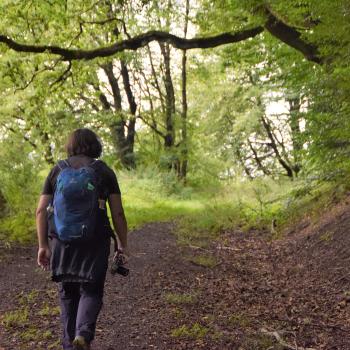 Schächerbachtour - Viele Erlebnisse garantiert diese Runde durchs sagenhafte Schächerbachtal - <a href="https://www.wanderfreak.de/schaecherbachtour-vogelsberg" target="_blank">zur Beschreibung der Wandertour</a> - (c) Gabi Vögele