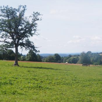 Heinzemann Tour - Eine erlebnisreiche Wanderung zur Felsformation „Heinzemann“ - <a href="https://www.wanderfreak.de/heinzemann-tour-vogelsberg" target="_blank">zur Beschreibung der Wandertour</a> - (c) Jörg Bornmann