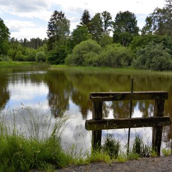 Drei Seen Tour - Um drei schöne Seen führt diese Tour - <a href="https://www.wanderfreak.de/drei-seen-tour-vogelsberg" target="_blank">zur Beschreibung der Wandertour</a> - (c) Gabi Vögele