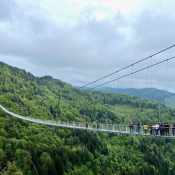 Blackforestline eröffnet - Mit der Hängebrücke in Todtnau hat nun auch der Südschwarzwald eine neue Attraktion - (c) Sabine Zoller