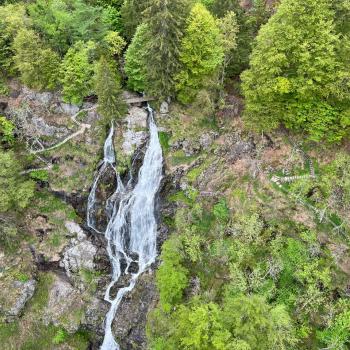 Blackforestline eröffnet - Mit der Hängebrücke in Todtnau hat nun auch der Südschwarzwald eine neue Attraktion - (c) Sabine Zoller