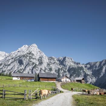 Wandern in der Ferienregion Hall-Wattens - Walderalm in Gnadenwald - (c) hall-wattens.at