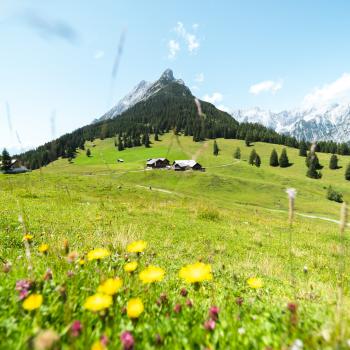 Wandern in der Ferienregion Hall-Wattens - Waldern zur Walderalm - (c) hall-wattens.at