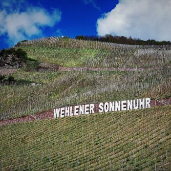 Die Wehlener Sonnenuhr ist die Heimat für Insekten - (c) GabiVögele