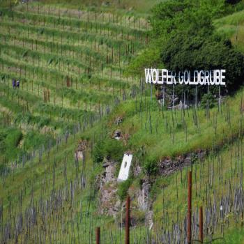 In der Wolfer Goldgrube bei Traben-Trabach brütet die Zippammer- (c) GabiVögele