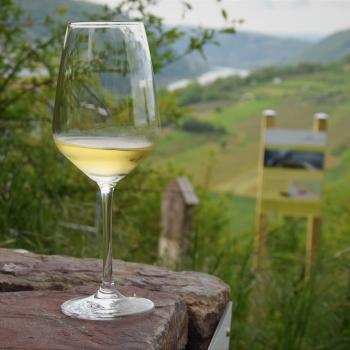 Und nach einer so informativen Wanderung durch die steilen Weinberge hat man sich dann auf jeden Fall auch ein Glas des guten Mosel-Rieslings verdient - (c) GabiVögele