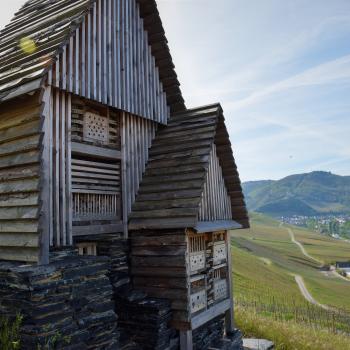 Sichtbares Zeichen der Kooperation von Winzer, Naturschützer, Tourismusbranche sind mittlerweile über 100 sogenannte Lebenstürme - (c) GabiVögele